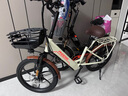 凤凰（Phoenix）电动自行车成人男女士锂电池电动车新国标小型助力电瓶车电单车 L3米白【单速】20寸一体轮 10AH电动续航30公里 实拍图