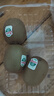 佳沛（zespri）绿奇异果经典果6粒 单果约86-103g   水果猕猴桃  源头直发 实拍图