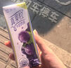 蒙牛真果粒葡萄味250g*12盒 低糖配方轻负担 新老包装随机发 实拍图