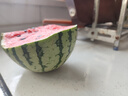 广东徐闻香水菠萝生鲜时令应季热带水果孕妇水果源头产地直发包邮 【活动专享】1个装 单果1.2斤起 实拍图