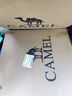 骆驼（CAMEL）户外露营折叠椅便携式靠背写生躺椅野营钓鱼凳克米特椅1J722C7586 实拍图