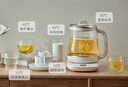 小熊（Bear）养生壶 煮茶壶 恒温水壶 保温烧水一体智能电热水壶花茶壶烧水壶 11档保温 1.5L大容量 YSH-J15Z7 实拍图