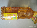 鲁花 食用油 5S 物理压榨 压榨一级 花生油1L 实拍图