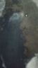 柳丝木（Ositree）黑茶卸妆油女眼唇脸三合一温和卸妆水敏感肌礼物试用小样 25ml 实拍图