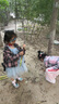 斯纳菲女童皮鞋春秋爱莎公主鞋儿童水晶鞋中大童演出鞋软底鞋月光银30 实拍图