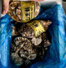 鲜海道【活鲜】鲜海道生蚝  乳山牡蛎 新鲜海蛎子生鲜贝类 特大号4XL净重4斤（10-14只）） 实拍图