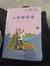 快乐读书吧六年级下册指定阅读：鲁滨逊漂流记+汤姆索亚历险记+骑鹅旅行记(套装共3册）课外阅读书必读 实拍图