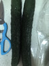 长黄瓜约600g 实拍图