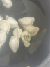 思念素水饺韭菜鸡蛋口味1kg约50只 速冻饺子蒸饺煎饺早餐食品 实拍图