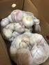 大蒜精装出口蒜出蔬菜水果调料牛肉生蚝小龙虾食材 出口标准网袋装箱 4斤 中果直径4cm 实拍图