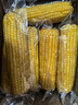 京鲜生 东北黄糯玉米250g*10棒 新鲜甜糯玉米棒真空包装粘玉米 源头直发 晒单实拍图