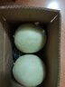 甜萌果蔬海南玉菇甜瓜 当季新鲜水果冰淇淋口感香瓜甜瓜正宗大果现摘现发 3斤装【尝鲜贵运费】净2.5 2A级|头茬精选【尝鲜优果】 实拍图