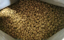 伯纳天纯狗粮专供款宠物狗粮鸡肉樱桃小型犬全价成年犬粮 2kg/4斤 实拍图