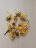 福茗源 菊花茶金丝皇菊100克特大一朵一杯胎菊贡菊杭白菊养生茶 实拍图
