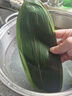 鲜窝窝 超大号粽叶100片 野生粽子叶宽粽叶新鲜箬叶端午节包粽子材料 实拍图