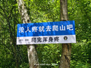 康佳康小白205升二级能效新升级变频节能三开门软冷冻家用租房小型冰箱家用租房BCD-205PG3S国家补贴 实拍图