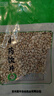 【九州上医馆】薏苡仁100g/袋中药饮片贵州小薏米 薏苡仁五谷杂粮薏仁米独立小包装 中药材抓配大药房 薏苡仁100g/袋[请核对地址下单] 实拍图