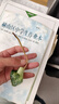 御春阁仙客来盆栽室内花卉 兔子花 花苗兔耳花萝卜海棠带盆带花带土发货 仙客来大红（带花苞）原盆原土 实拍图