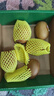 佳沛（zespri）新西兰  阳光金奇异果6粒装 单果约77-103g  源头直发  猕猴桃 实拍图