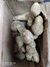 【精品】山东大黄姜水洗不带土净姜山东大姜生姜干姜新鲜蔬菜佐料 2斤 实拍图