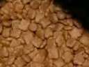 疯狂小狗中大型犬狗粮成幼犬40斤装宠物柯基边牧金毛拉布拉多鸡肉燕麦20kg 实拍图