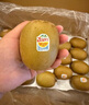 佳沛（zespri）新西兰  阳光金奇异果18粒礼盒优选果单果约101-124g 猕猴桃水果 实拍图