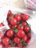 正宗海南千禧小番茄圣女果5斤新鲜水果小西红柿水果番茄w顺丰DD 3斤精选【顺丰/JD快递】净2.7斤 实拍图