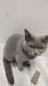 皇家成猫猫粮 营养均衡 F32 通用粮 1-7岁 4.5KG 实拍图