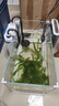 森森（SUNSUN）鱼缸水族箱超白玻璃水草缸造景桌面缸 500裸缸(50*25.6*31cm) 实拍图