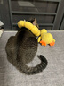华元宠具（hoopet）狗狗玩具发声自嗨解闷毛绒玩偶黄鸭小狗磨牙神器耐咬逗狗宠物用品 实拍图