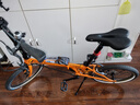 大行（DAHON）折叠自行车20英寸8级变速经典P8单车KBC083 橙色高配款-京仓 实拍图
