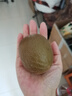 佳沛（zespri）新西兰  阳光金奇异果6粒装 单果约77-103g  源头直发  猕猴桃 实拍图