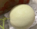 京觅山东玉菇冰淇淋甜瓜 净重4.5-5斤 单果900g起 新鲜水果源头直发 实拍图