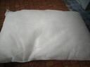 枕头套装单人一只枕头带枕套可拆洗学生成人护颈枕头芯套装一对装 皮皮虾【一个枕芯一个枕套】 实拍图
