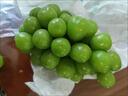 京营觅选阳光玫瑰葡萄晴王香印提子 当季新鲜时令新鲜水果中秋水果 净重3斤单粒8g起 山西阳光玫瑰葡萄 实拍图