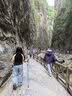 Naturehike挪客长风Pro/UL五节折叠款登山杖可放包里 超轻儿童成人徒步手杖 Pro五节全铝/身高190cm以下/黑 实拍图