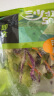 一号农场开袋即食田园风情沙拉120g*3混合蔬菜沙拉包轻食健身代餐源头直发 实拍图