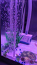 森森（SUNSUN）鱼缸增氧泵水族箱氧气泵家用小型充氧泵 3W单孔+35mm单细化套餐【气泡更细腻】 实拍图