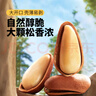 三只松鼠东北松子500g/袋 手剥开口 每日坚果炒货休闲零食地方特产 实拍图