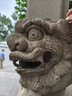 中药锅煎药壶养生壶电砂锅药罐煎药壶煎药砂锅煎药壶熬中药全自动熬药中药锅一体专用家用插电 3L 新款+陶瓷不粘+【自动保温】 实拍图