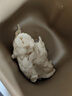 东菱（Donlim）【国家补贴】升级款面包机 全自动家用和面机 可预约 智能双撒 高成功率DL-4705（白色） 实拍图