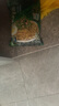 康师傅方便面 BIG干拌面红烧+香辣+酸菜132g*12碗 泡面混合整箱 速食 实拍图
