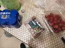 千禧小番茄750g 实拍图