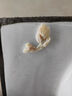 妇科清宫丸正排品毒拉线球排脏清理子宫垃圾私处异味腥臭味女人下面瘙痒有异味私密保养子宫去异味止瘙痒抑菌 单盒装【8粒 实拍图