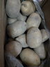陇百味定西土豆2025年新挖粉糯面沙 高山洋芋 马铃薯 甘肃定西美食特产 净重9斤  单果3两左右小果 实拍图