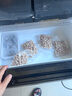 美的（Midea）508升法式对开多门家用电冰箱除菌净味双系统大容量冰箱家电国家补贴真香系列 BCD-508WTPZM(E) 508升双系统净味冰箱 实拍图