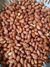 【新客专享】现剥新花生米生新货粉皮新鲜大粒商用白沙花生仁5斤 精选饱满大颗粒3斤【无干燥剂】 实拍图