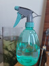 喷壶浇花浇水喷雾器气压式喷水壶家用园艺养花500ml 南瓜喷壶透蓝【1个装】 实拍图
