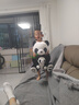 熊猫熊大熊猫毛绒玩具女孩熊猫玩偶娃娃公仔花花抱抱熊布娃娃女生生日礼物女送女朋友同学陪睡觉抱枕仿真布偶小号创意摆件50cm 实拍图