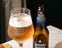埃斯特拉（ESTRELLA GALICIA）西班牙原瓶进口埃斯特拉啤酒330ml×12瓶精酿拉格 实拍图